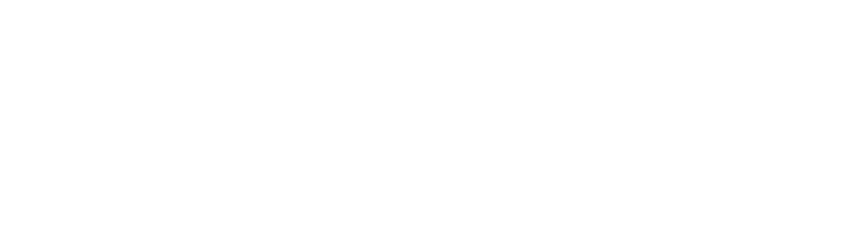RiskNET